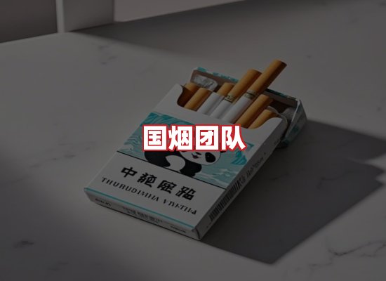 国烟团队